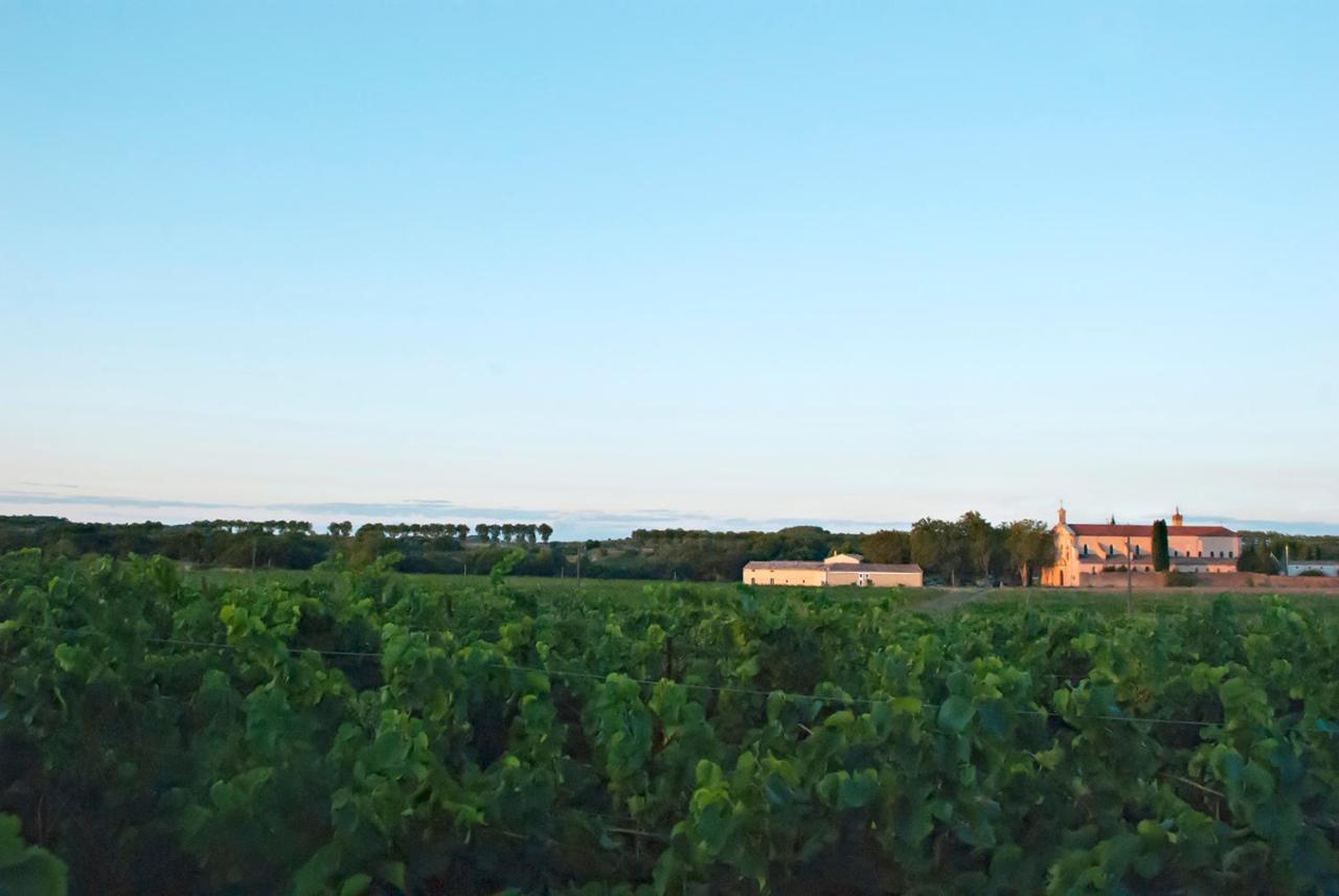 Chartreuse De Mougeres - Caux Pezenas B&B 외부 사진